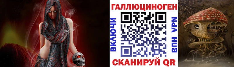 где продают   Долгопрудный  Псилоцибиновые грибы Cubensis 